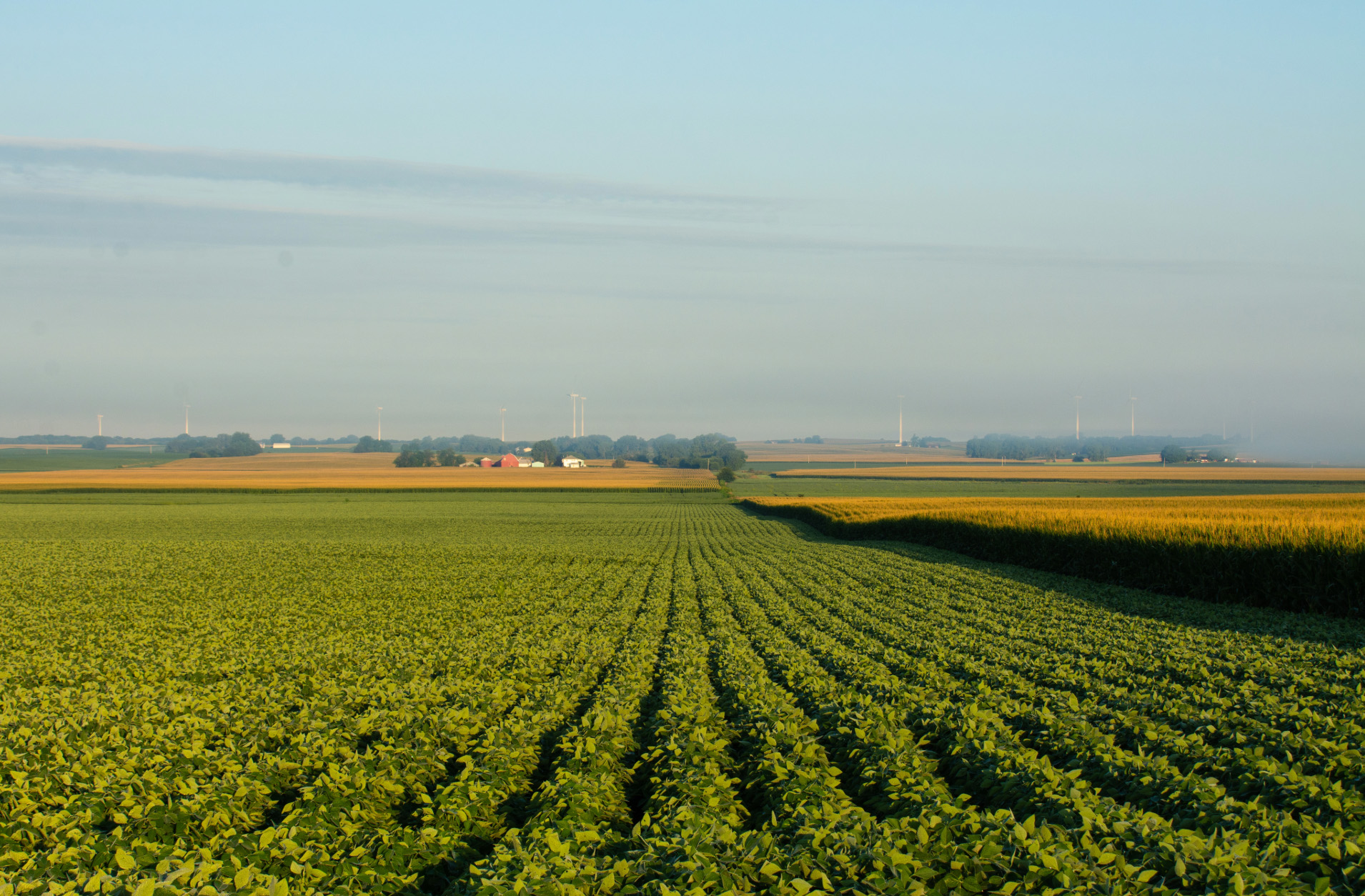 Farmland